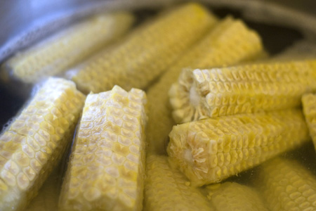 corn stock 2.jpg